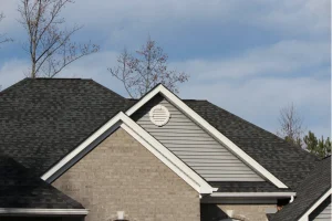 roof blog image